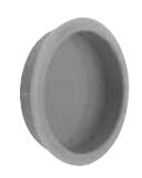 2018_hager_complete image on page 446